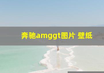 奔驰amggt图片 壁纸